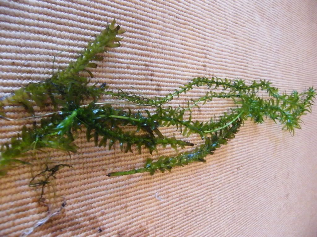 DSCF4891.jpg