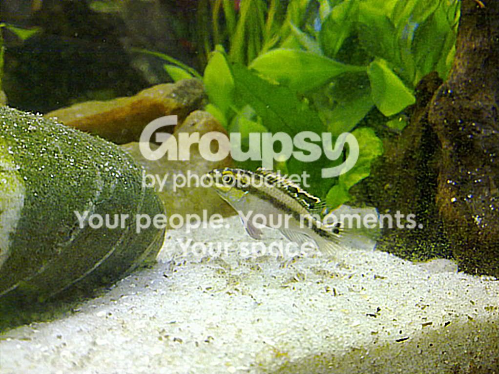 23012012645.jpg