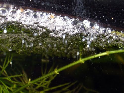 DSCN2635.jpg