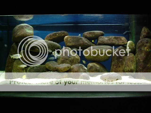 DSCF3578.jpg