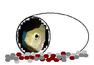 cave.jpg