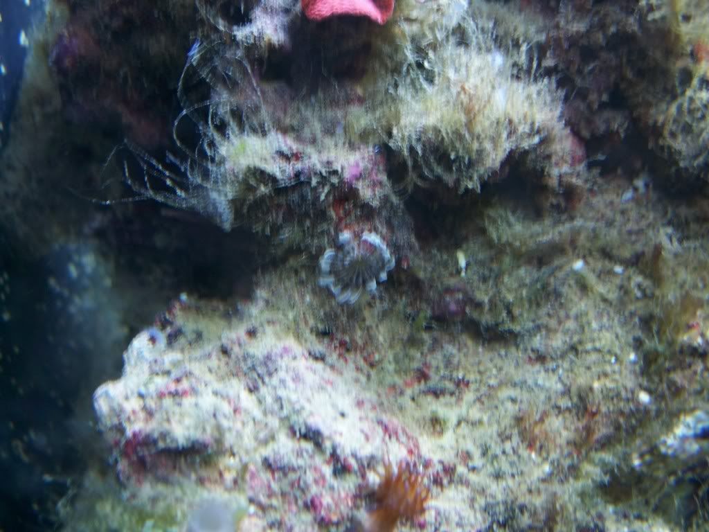 100_1071.jpg