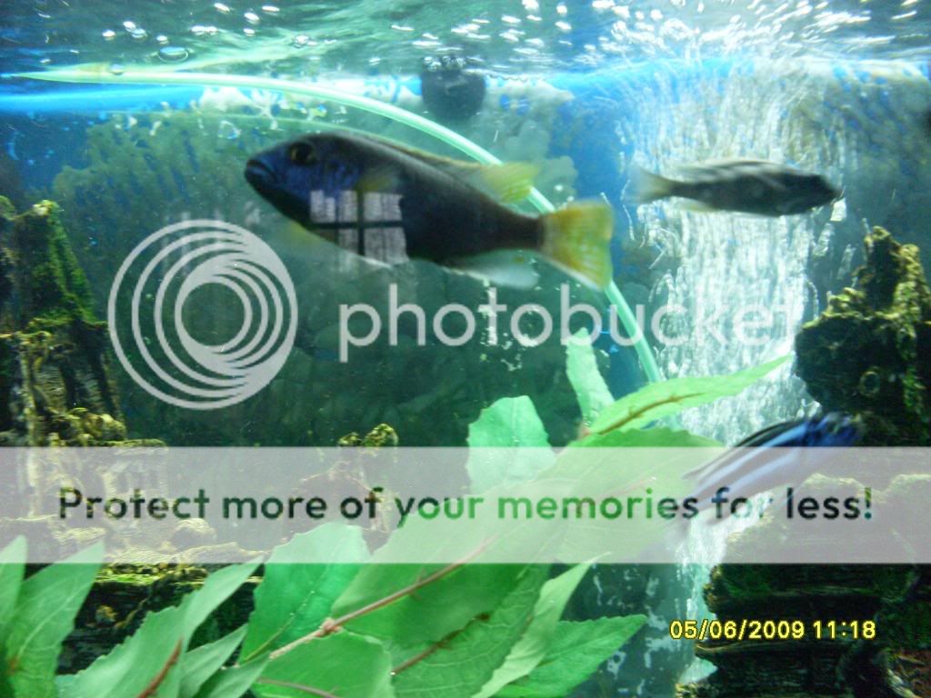 b3ff98c9.jpg
