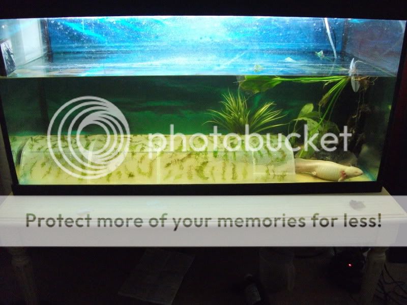 DSCF3127.jpg