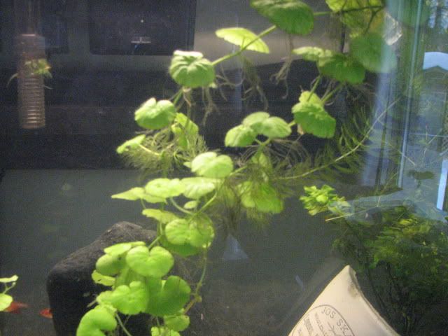 4db12548.jpg