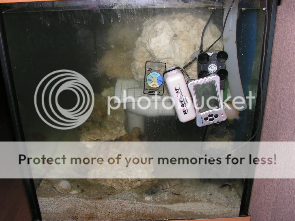 PICT0251.jpg