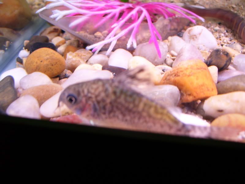 100_0037.jpg