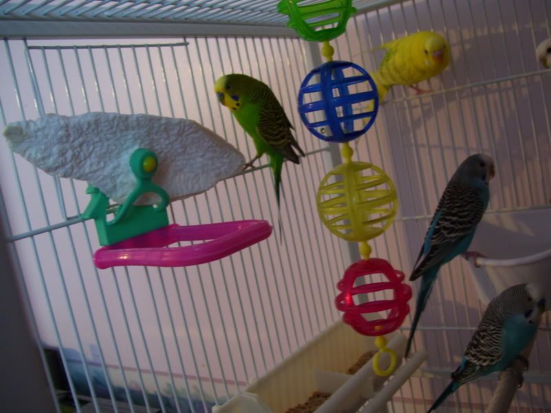 000_0096.jpg