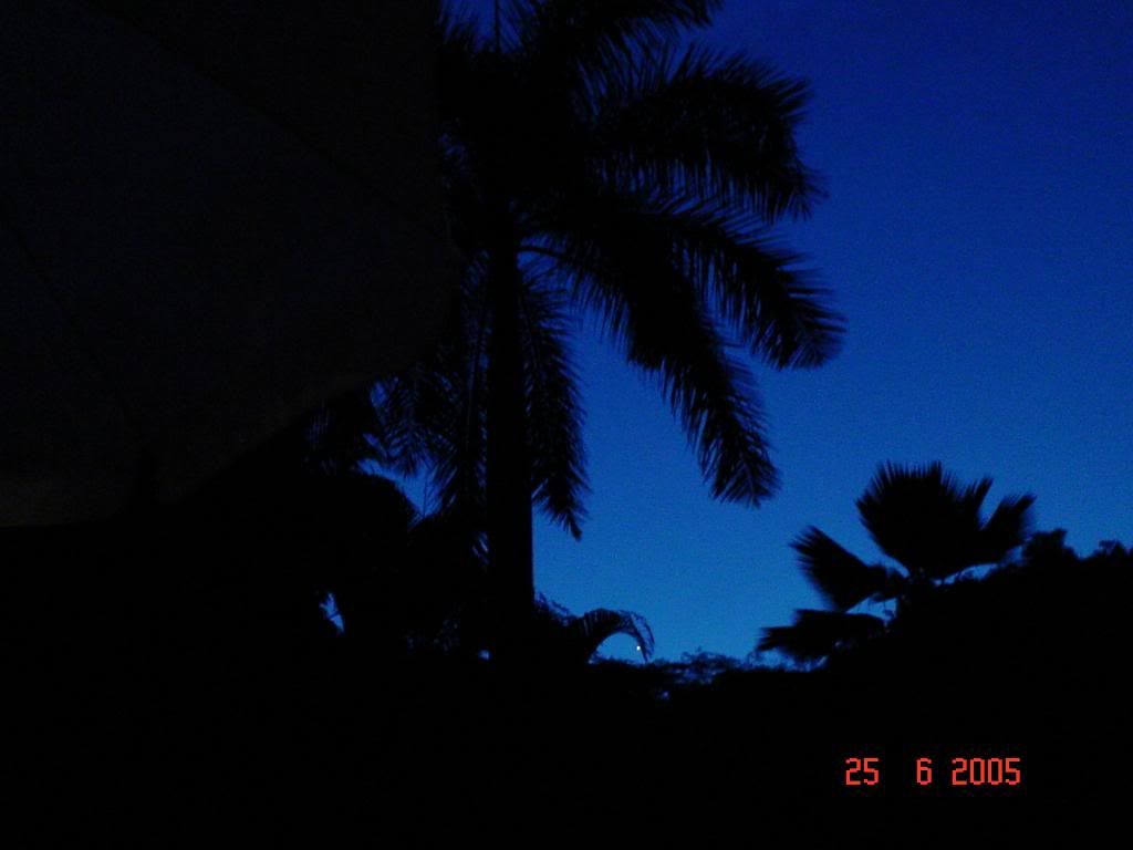 DSC00484.jpg