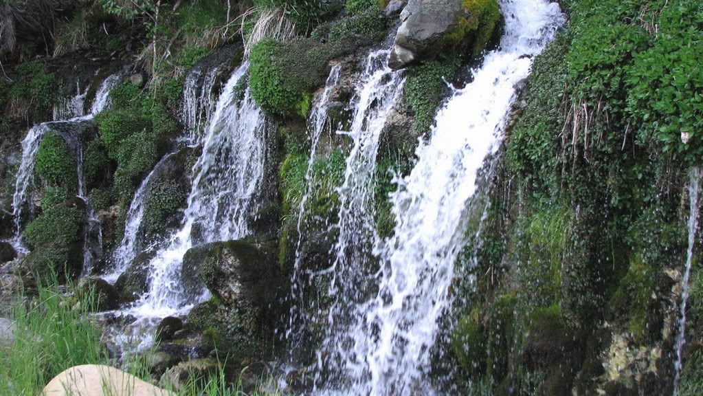 sideviewwatercressfalls.jpg