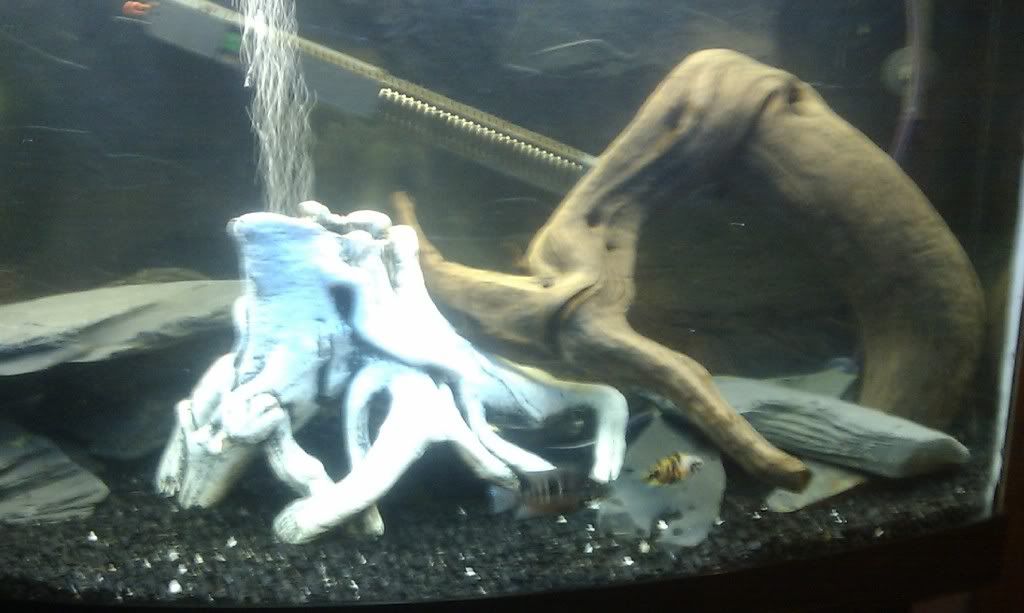 IMAG0180.jpg