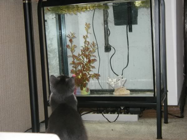 fishing1.jpg