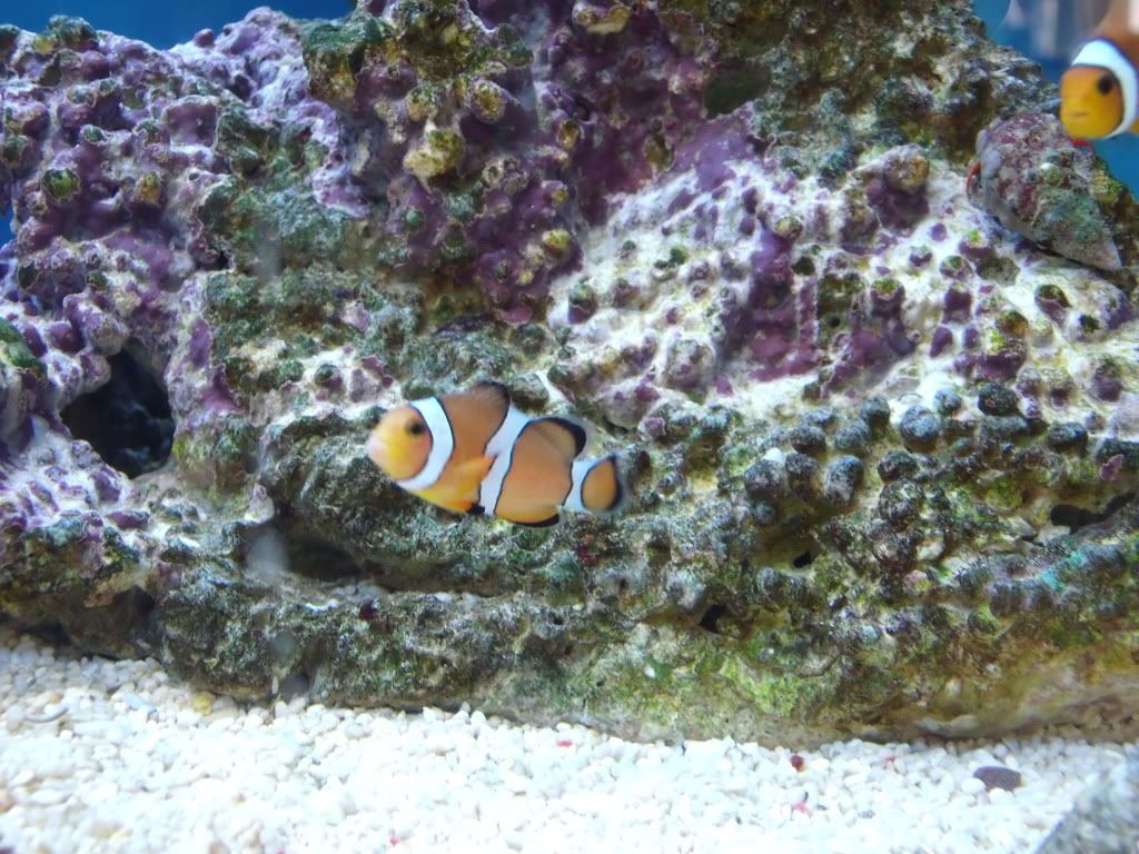 6081c019.jpg