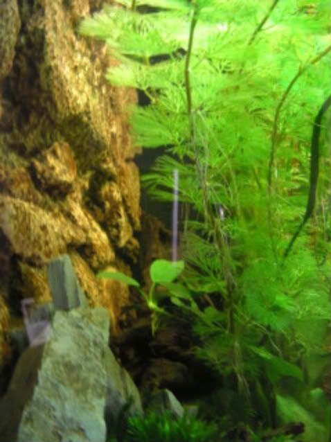 PICT0407.jpg