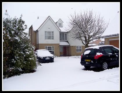 snow3.jpg