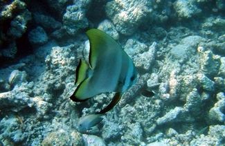 DSCF2179.jpg