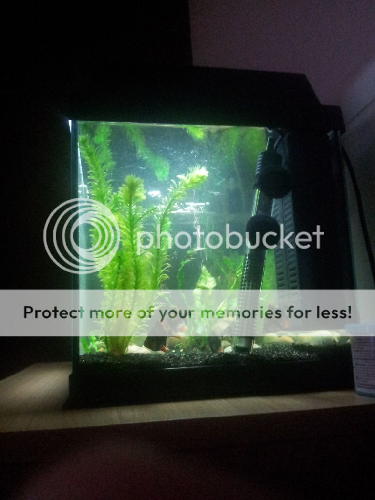 20120731_181055.jpg