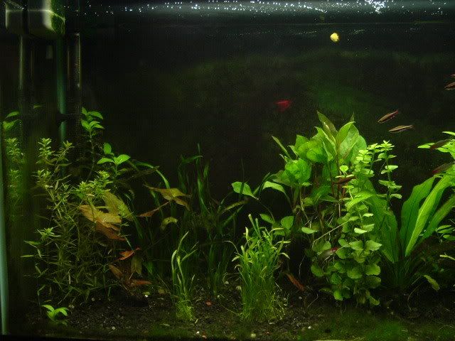 DSCF1579.jpg