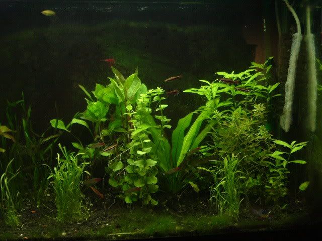 DSCF1580.jpg