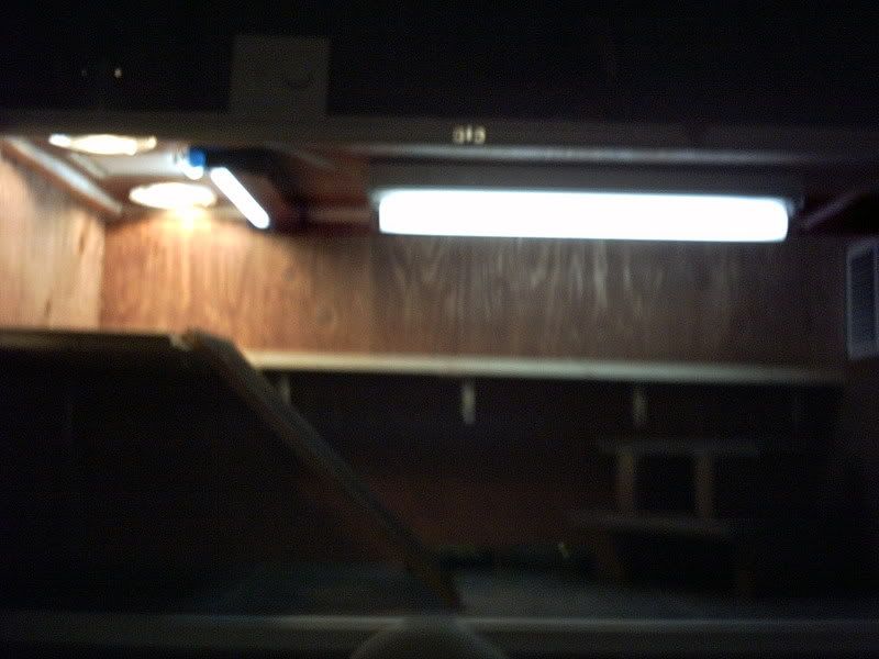 IMG00184.jpg