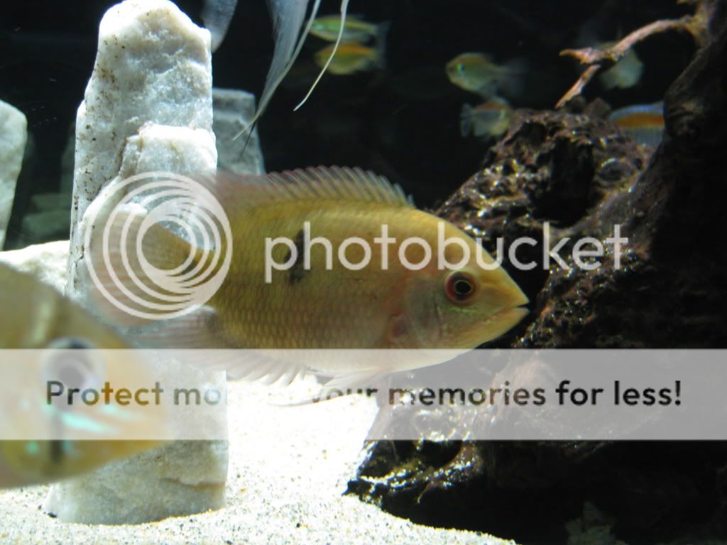 IMG_1697.jpg