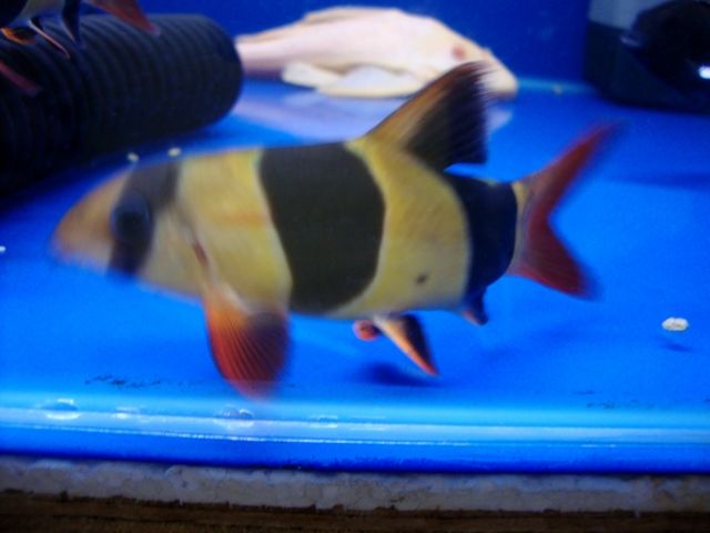 DSC01348.jpg
