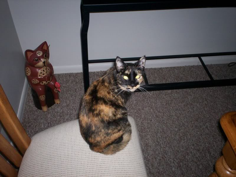 100_0268.jpg