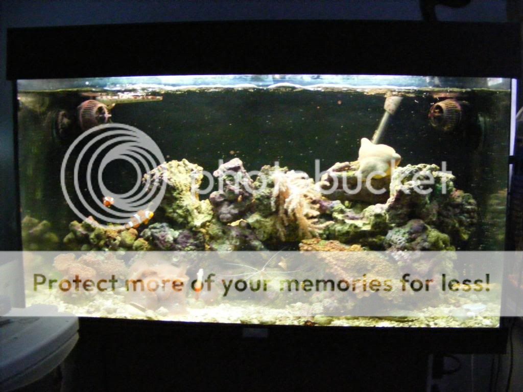 DSCF2780.jpg