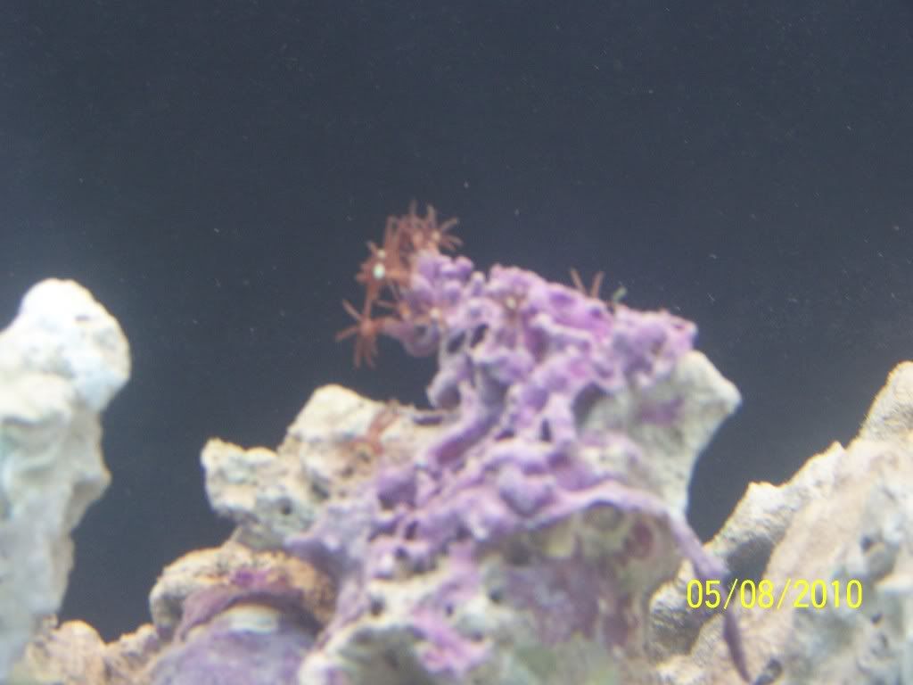 100_1354.jpg