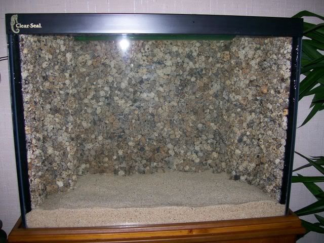 Picture003.jpg