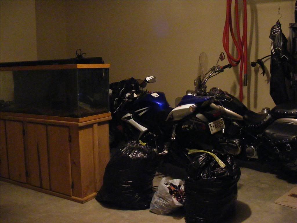 house016.jpg