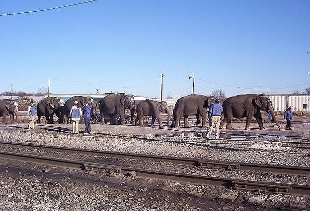 100_3066.jpg