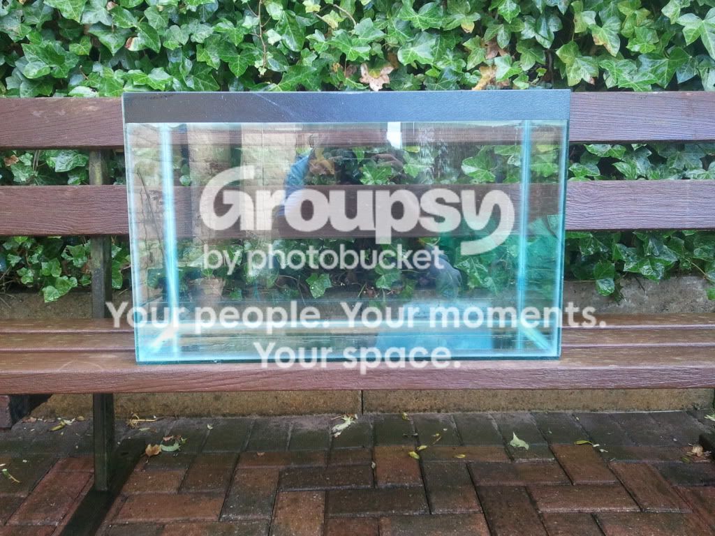 2011-05-08174557.jpg