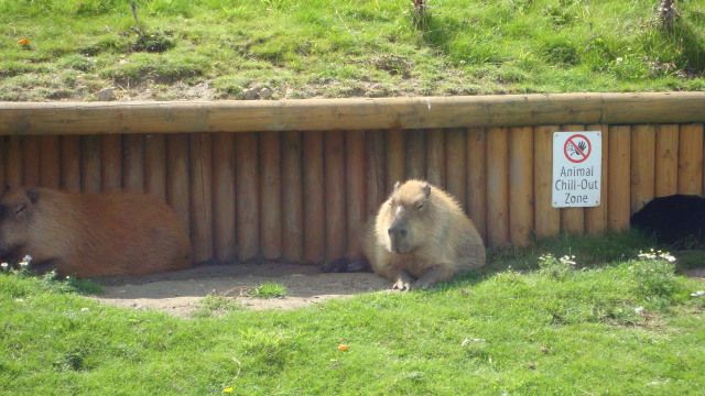 DSC01646.jpg