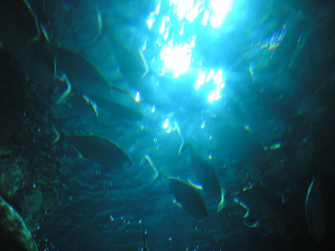 Picture540.jpg