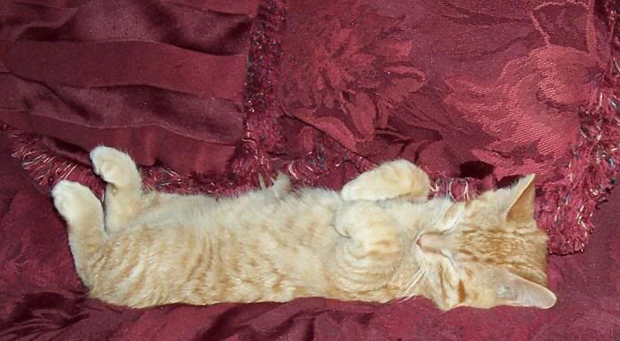 000_0397.jpg