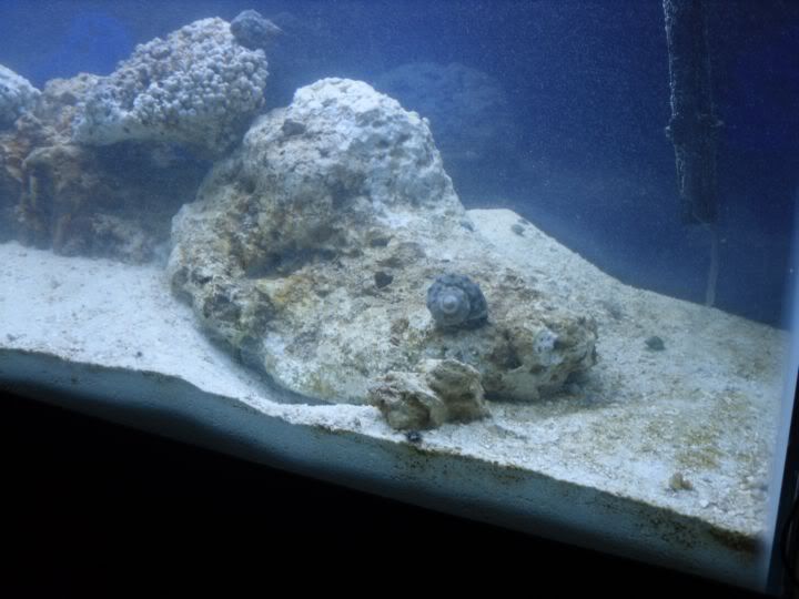 SDC10291.jpg