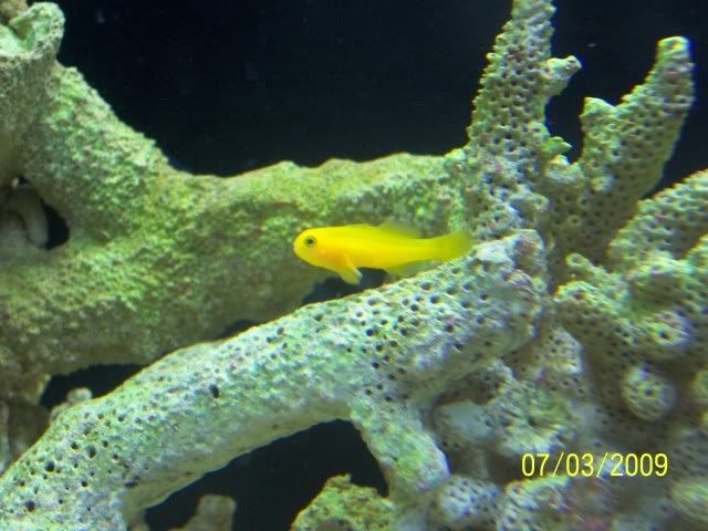 100_7096.jpg