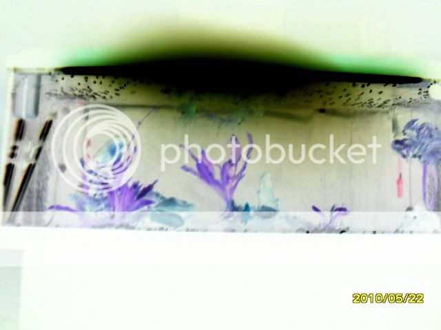 SDC14657.jpg
