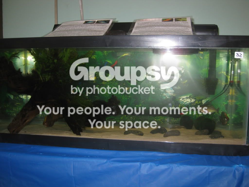 SpringFishExpo10048.jpg
