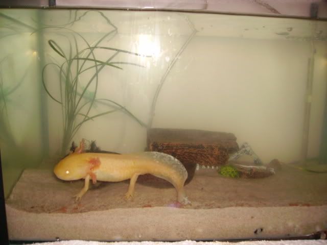 Picture001.jpg