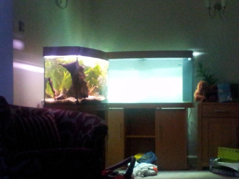 20120708_213525.jpg