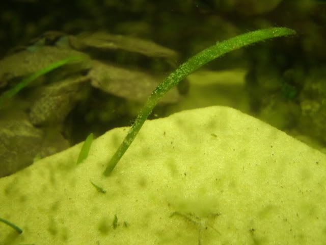 GEDC2640-1.jpg