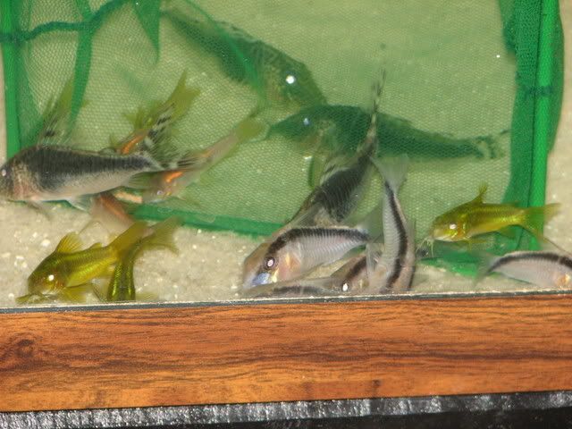 IMG_0963.jpg