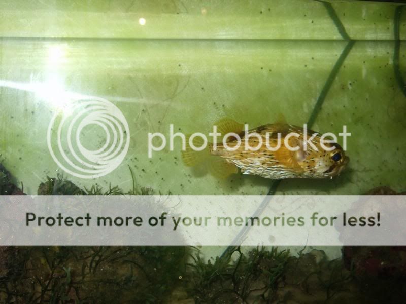 DSCF3409.jpg