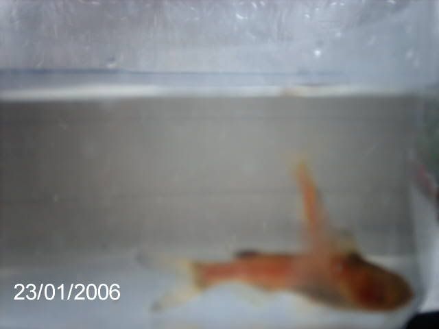 2006_0123new0051.jpg