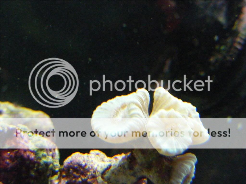 DSCF2849.jpg