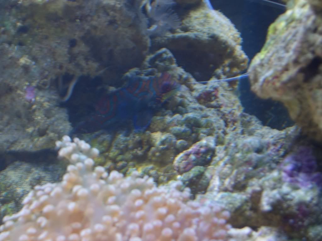 CIMG0793.jpg
