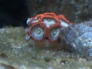 DSC00001.jpg