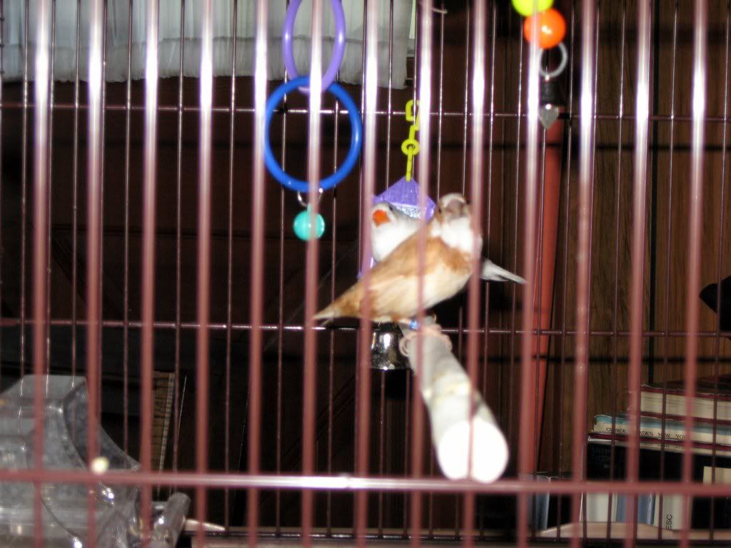 IMG_23421.jpg